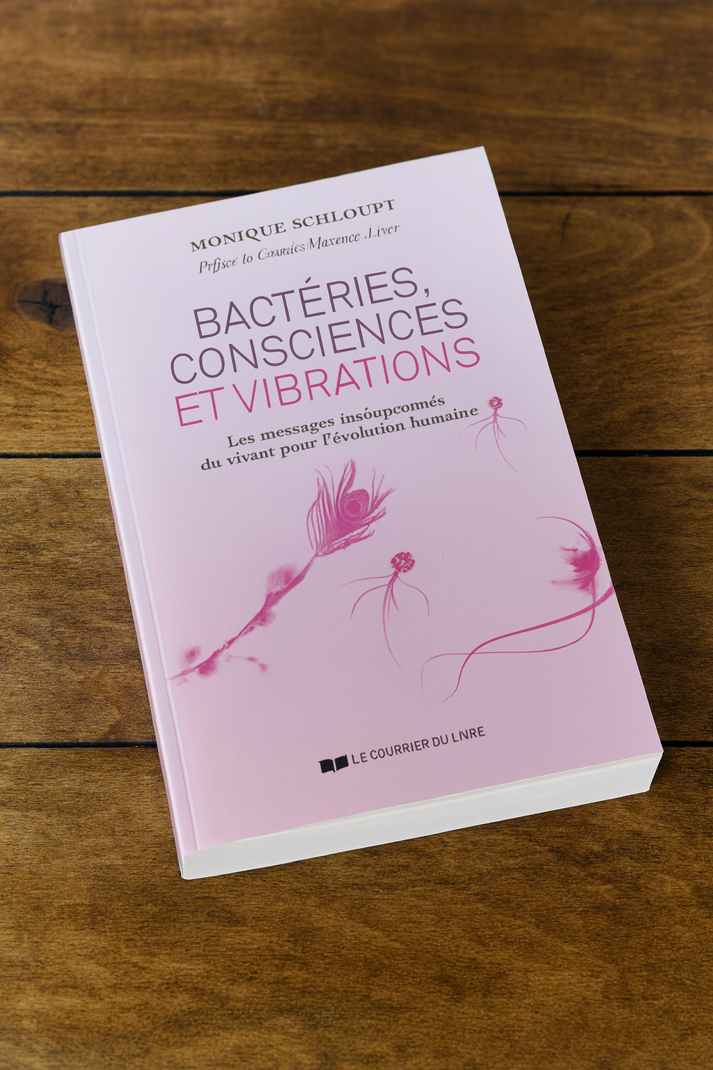 Bactéries, consciences et vibrations
